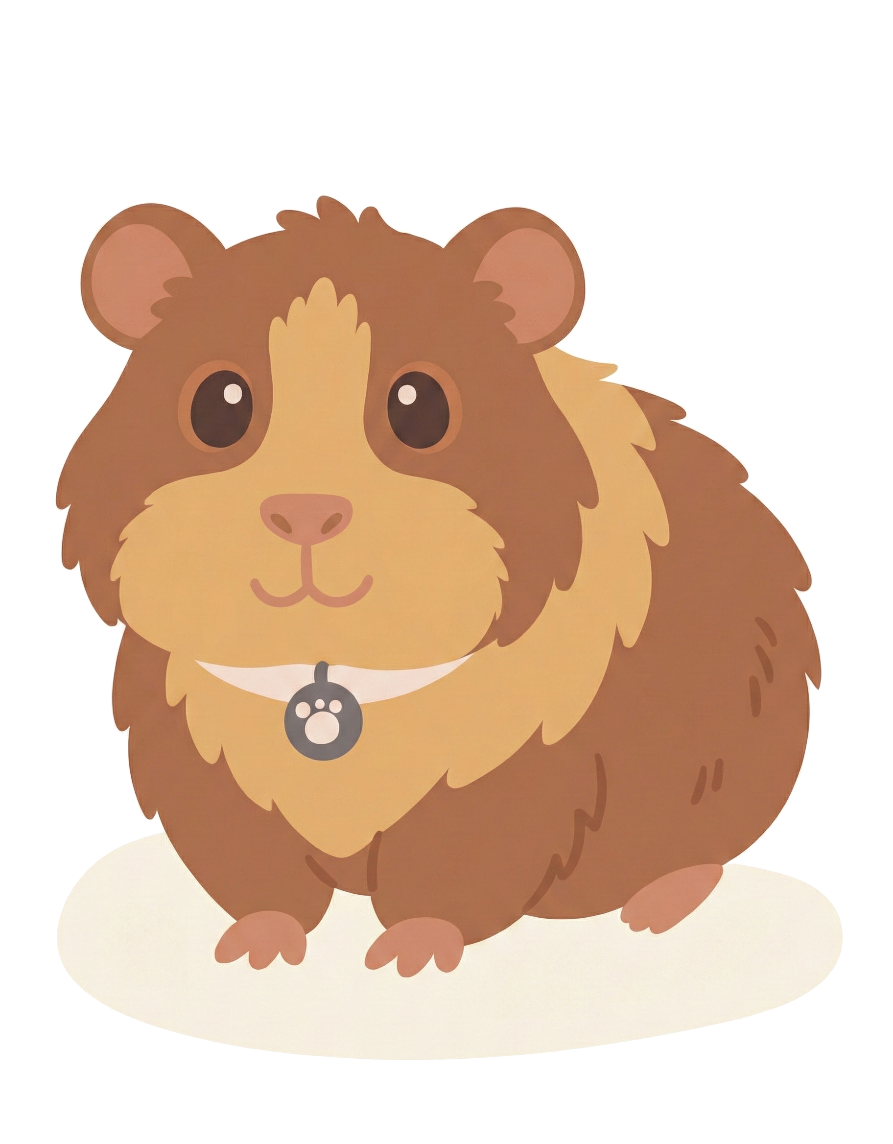 cavia ok cavia ok